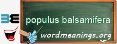 WordMeaning blackboard for populus balsamifera